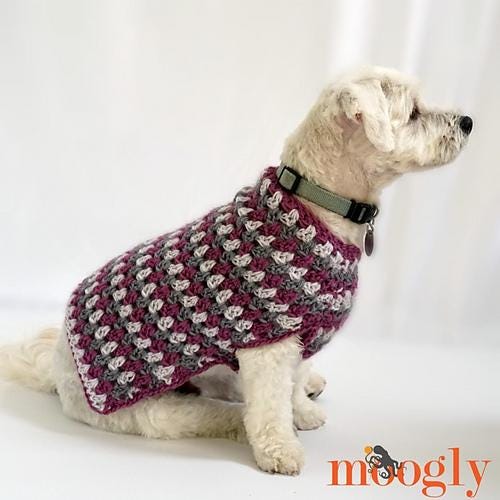 Dog Coat Easy Aran Yarn Stripes Crochet Pattern PDF - Well Dressed Dog Coat