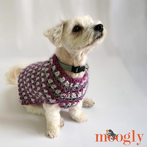 Dog Coat Easy Aran Yarn Stripes Crochet Pattern PDF - Well Dressed Dog Coat