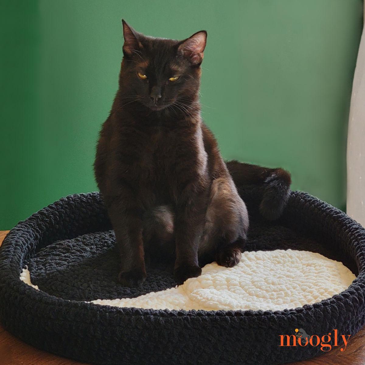 Yin-yang Cat Bed Crochet Pattern PDF - Easy Super Bulky Pet Bed