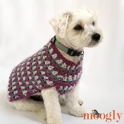 Dog Coat Easy Aran Yarn Stripes Crochet Pattern PDF - Well Dressed Dog Coat